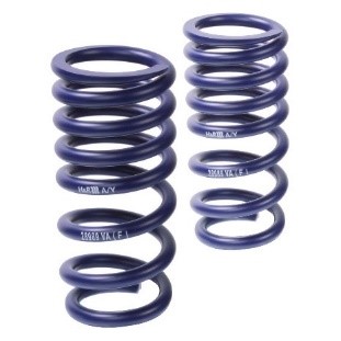 Springs for a track car