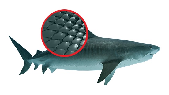 SST (Shark Skin Technology)