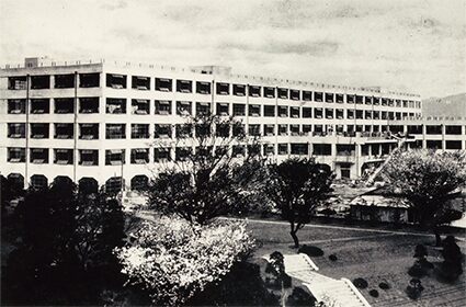 A brief history of Bridgestone