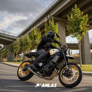 Anlas Tyres