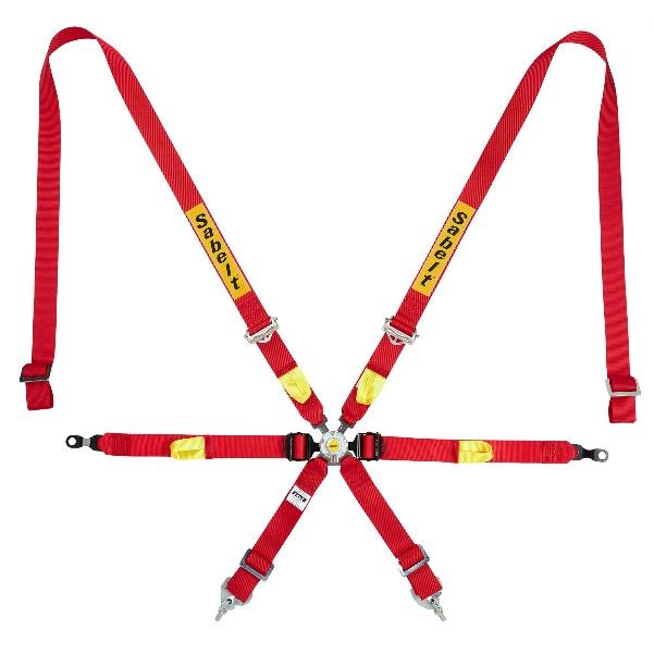 6-point harness